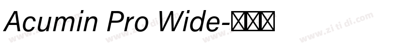 Acumin Pro Wide字体转换